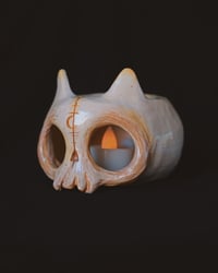 Image 2 of Bone Cat skull 