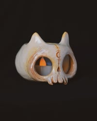 Image 4 of Bone Cat skull 