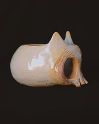 Image 5 of Bone Cat skull 