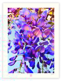 Image 1 of MYSTERIA HYSTERIA (24X18)