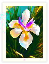 Image 1 of FROM SMALL ACORNS (24X18)