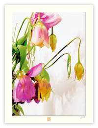 Image 1 of SLEEPY FLOWERS (24X18)