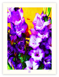 Image 1 of DID SOMEONE SAY PURPLE (24X18) 