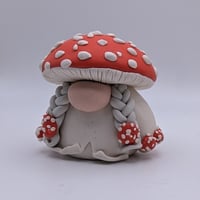 Image 3 of Amanita Gnomes