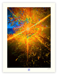 Image 1 of NATURE'S MANDELA (24X18)