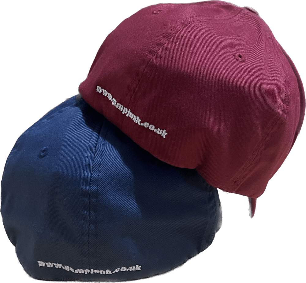 'born to shit' + URL Fitted cap (LIMITED RUN)