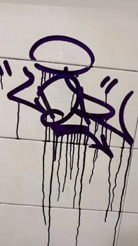 Image 2 of Fat squeezy mops