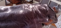 Image 4 of Navel Candling & Abdominal Detox Therapy
