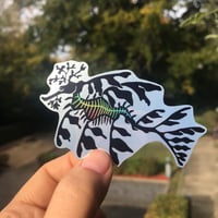 Leafy Sea Dragon vinyl sticker