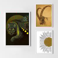 Image 1 of Animal print set of three