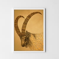 Image 3 of Animal print set of three