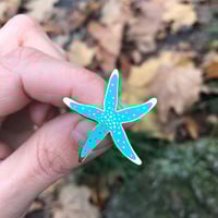 Image 3 of Starfish enamel pin set of two