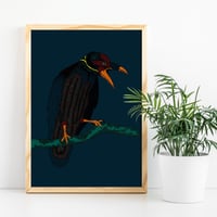 Image 1 of Crow print // A5 or A4