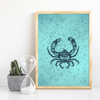 Crab print // A5 or A4 