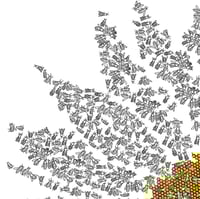 Image 2 of Sunflower print // Bees // A5 or A4