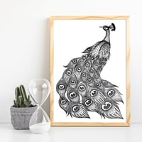 Peacock print // A5 or A4