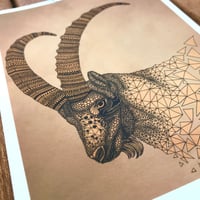 Image 2 of Capricorn print // A5 or A4