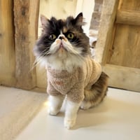 Image 5 of Cozy Baby Pink, Baby Blue & Beige Pet Sweater