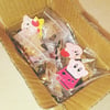 "Blind Box" Kirby Pin