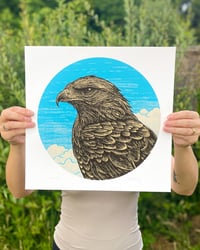 Image 1 of Buzzard