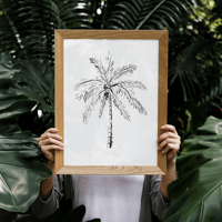 Image 1 of The Palm - fine art print 