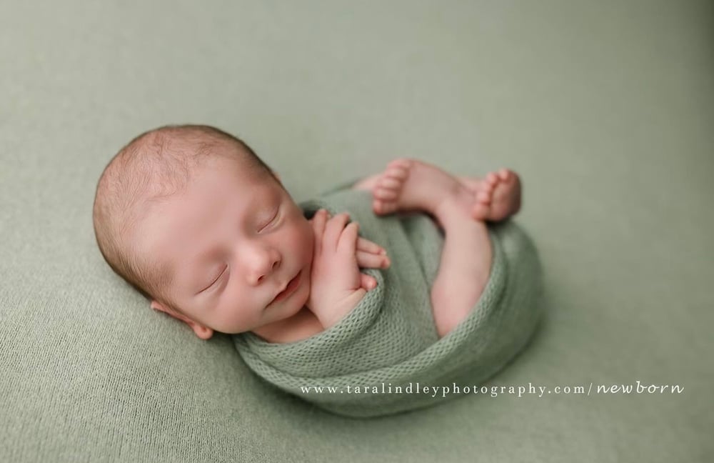 Image of Chloe thick knit Beanbag Backdrop in Sage