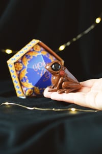 Image 1 of Chocolate Frog