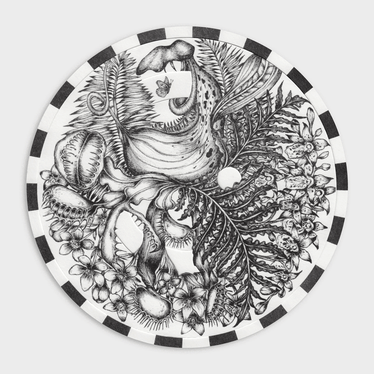 Le petit disque des horreurs − Lemika