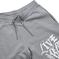 Image 4 of LIVE FOREVER SHORTS