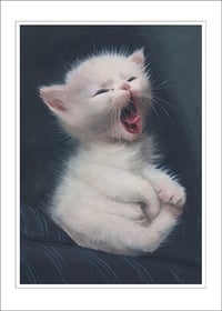 "Eepy" Print