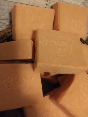 Image of Doggone Dog Soap