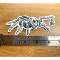 Image 2 of Spider Friend Sticker