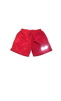 Image of Hustle Allstar Trunk Shorts 
