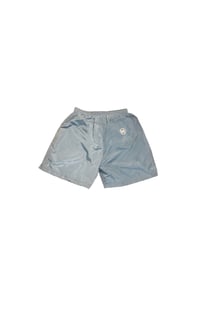 Image of Hustle Allstar Trunk Shorts (Grey)