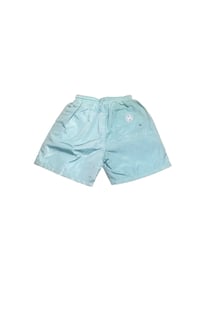 Image of Hustle Allstar Trunks (Aqua)