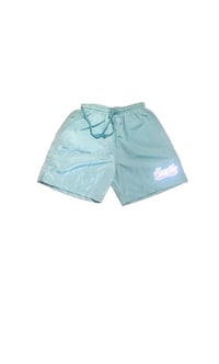 Image of Hustle Allstar Trunks (Aqua)