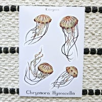 Image 5 of Jellyfish Sheet