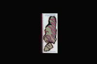 Image 1 of Pedas! Zine [Tiny Studio]
