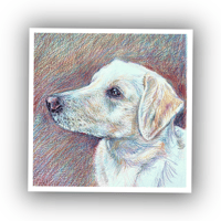 Image 5 of Pet Portraits
