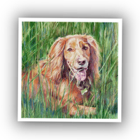 Image 4 of Pet Portraits