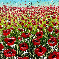 Image 3 of 'Raindrops on Poppies'