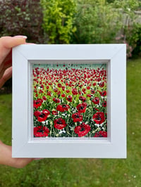 Image 1 of 'Raindrops on Poppies'