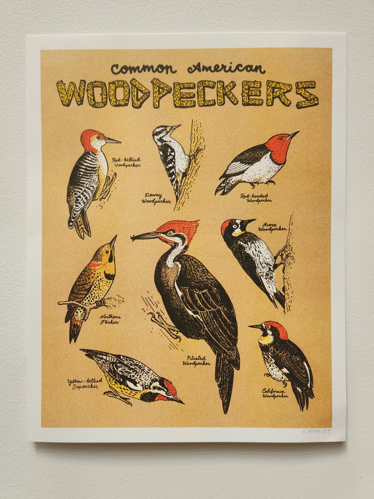 Image of Common American Woodpecker risograph