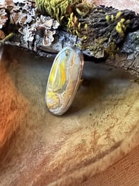 Image 2 of Mixed Metal Bumblebee Jasper Ring / n50