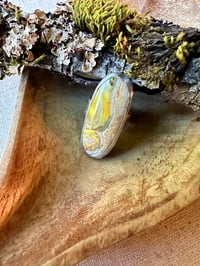 Image 7 of Mixed Metal Bumblebee Jasper Ring / n50