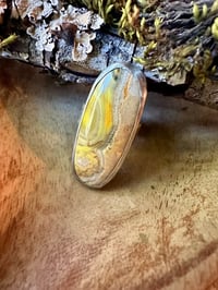 Image 17 of Mixed Metal Bumblebee Jasper Ring / n50