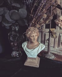 Image 1 of Baccus bust 