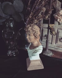 Image 2 of Baccus bust 