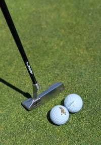 Image 1 of Titleist -ProV1 w/ Puffin Skeleton Logo