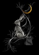 Image 1 of Midnight Jackalope Limited Edition Luxury Print